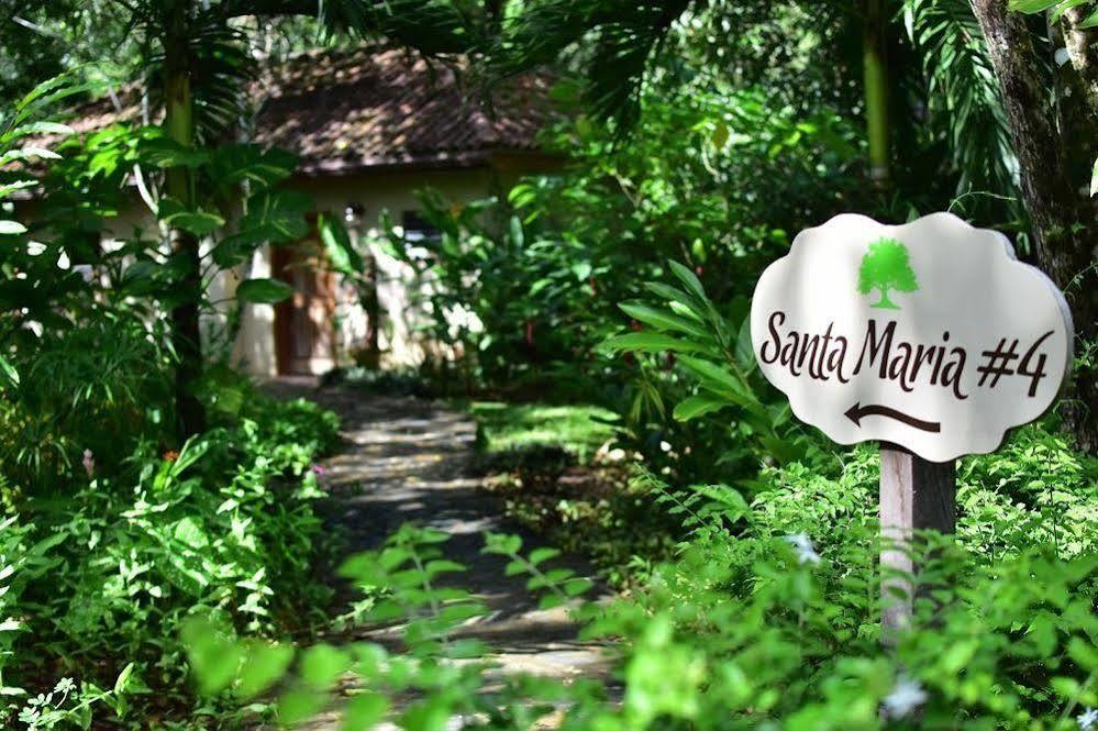 Mystic River Resort San Ignacio Dış mekan fotoğraf